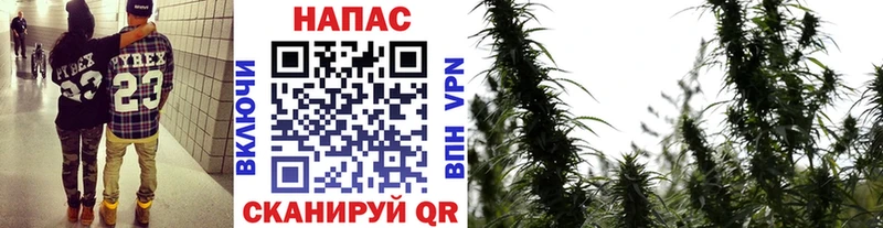 Где купить наркоту Ярославль КОКАИН Меф мяу мяу СК Марихуана