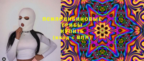 гидропоника Бородино