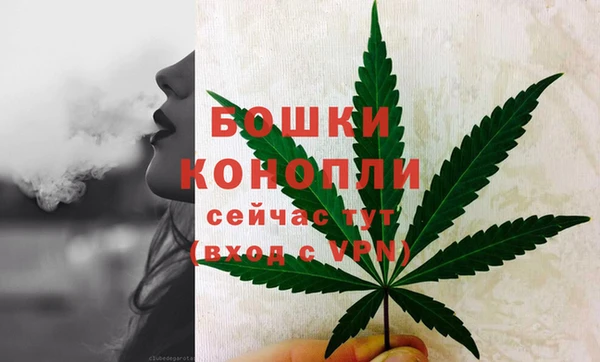 гидропоника Бородино